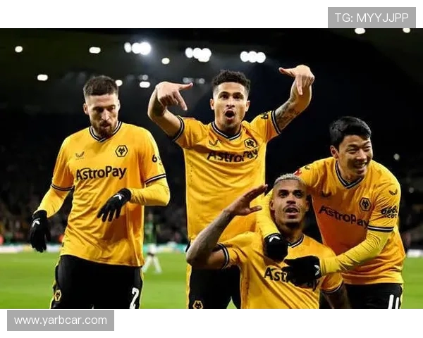 英超球队中资：中资背景的英超球队与中国资本的影响